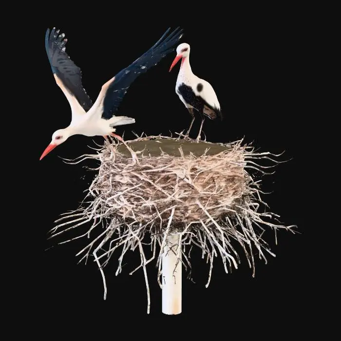 3D model for Storks in Flight