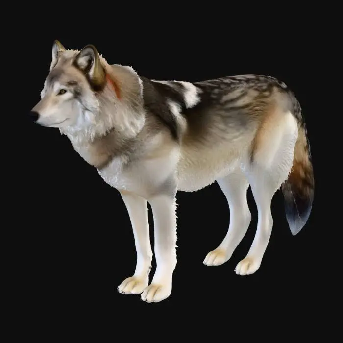 3D model for Winter Majesty