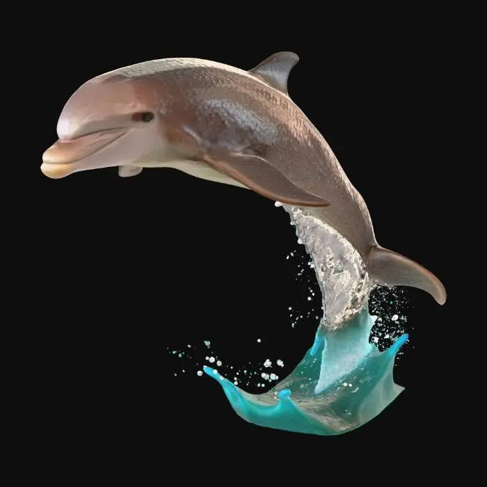 3D model for Dolphin Leap