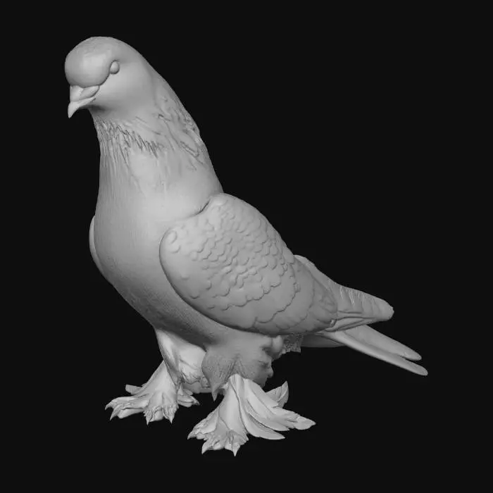 3D model for Majestic Pigeon