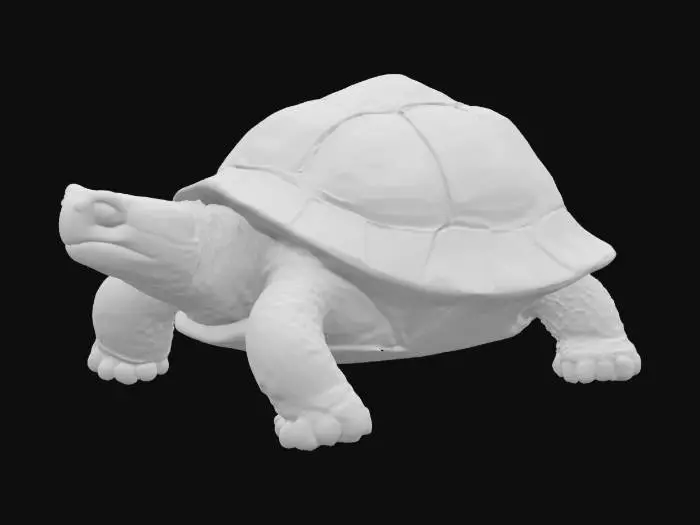 3D model for highly detailed wood carved tortoise