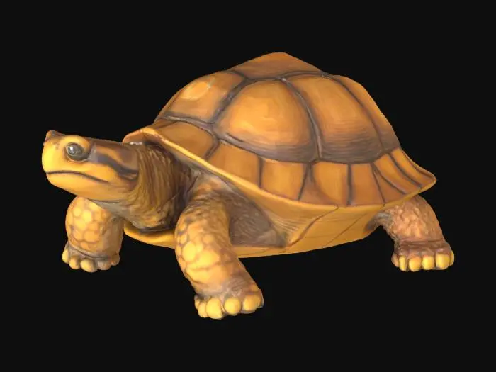 3D model for highly detailed wood carved tortoise