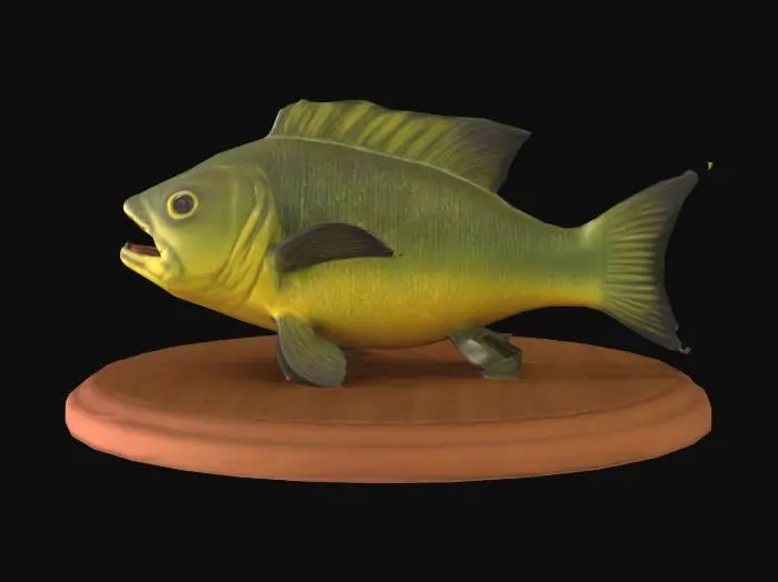 3D model for bass
