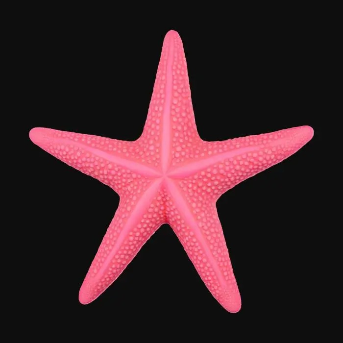 3D model for #ocean#, starfish