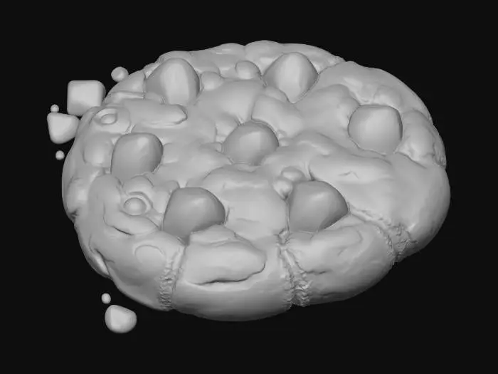 3D model for Biscotto