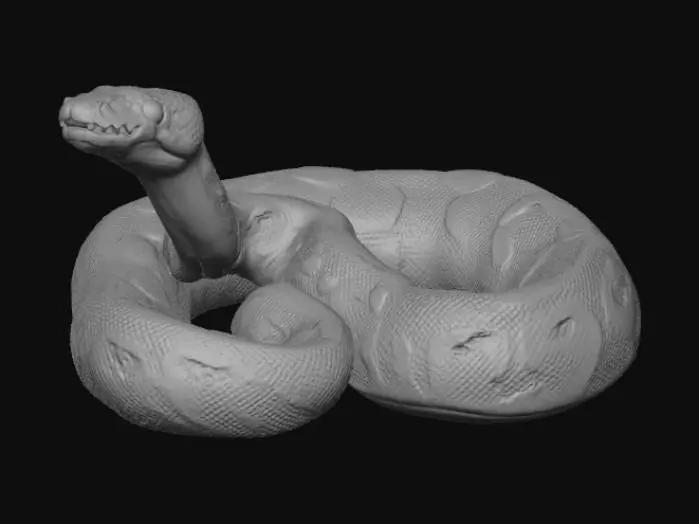 3D model for Ball Python in the Grass