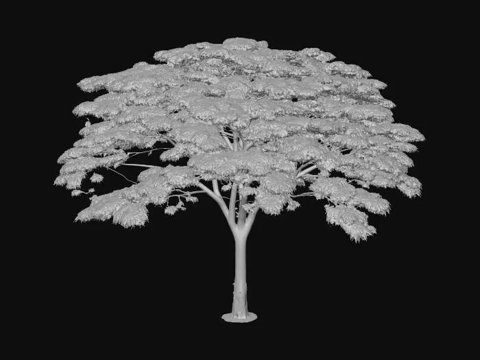 3D model for Tree