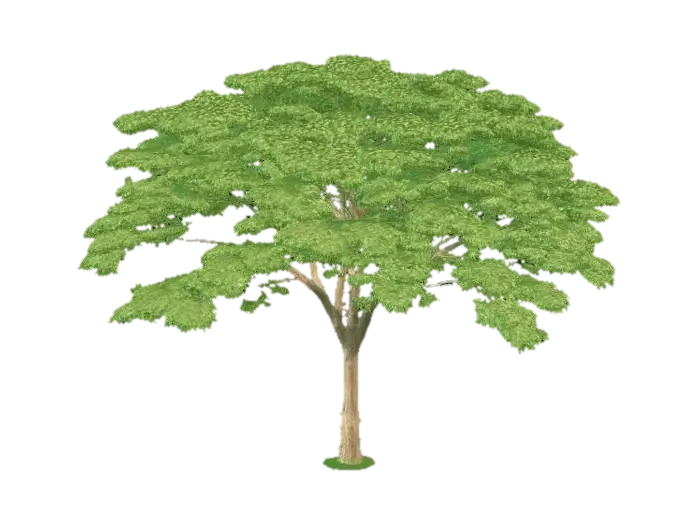 Tree - Forest AI 생성 3D 모델