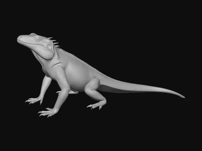 3D model for monitor lizard on all fours