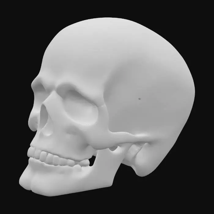 3D model for Hyper-Realistic | Artifact | a anatomically correct human Skull only made of older jade with a pattern engraved all over giving it a beautiful decorative piece