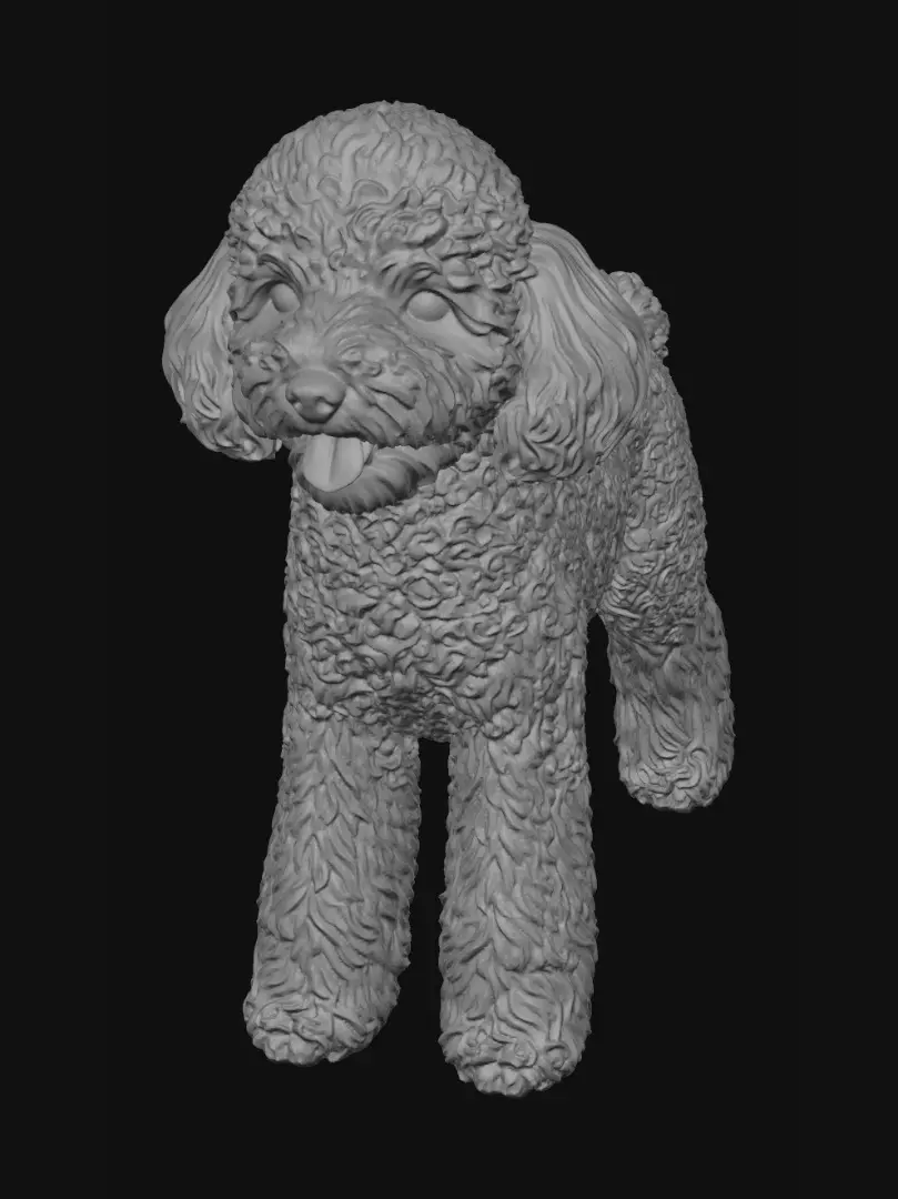 poodle