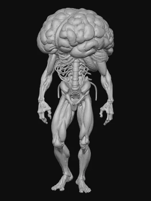 3D model for Son derece gerçekçi, kanlı damarları belirgin ve ince sinir ağlarıyla kaplı bir beyin, dört adet etli, kaslı ve hafifçe kıvrık ayak üzerinde duruyor. Beynin gri madde dokusu ve derin girintileri, üzerindeki k a n lekelenmeleriyle birlikte ürkütücü derecede detaylı. Ayaklar, beynin altından uzanarak ona garip bir hareketlilik ve tuhaf bir yaşam formu kazandırıyor. Görüntü, rahatsız edici ve bilim kurgu unsurları taşıyan, derinden düşündürücü bir kompozisyon sunuyor.