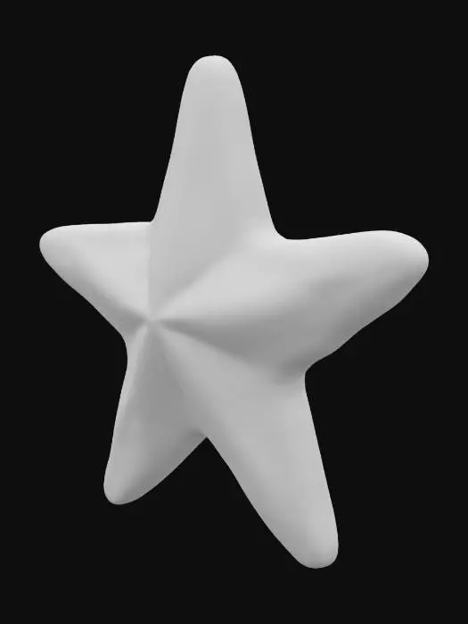 3D model for Starfish Delight