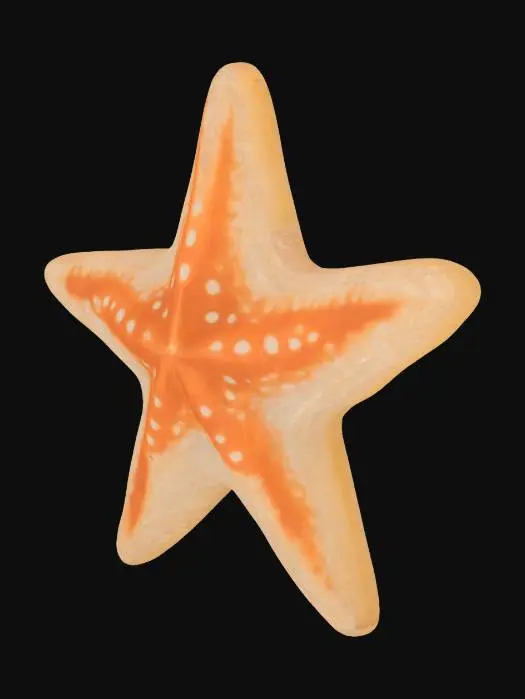 3D model for Starfish Delight