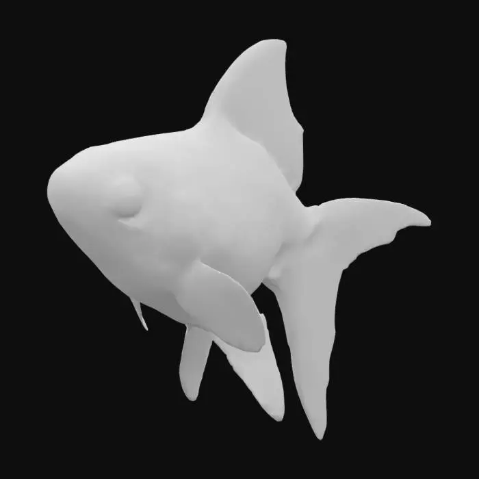3D model for Goldfish Swimming