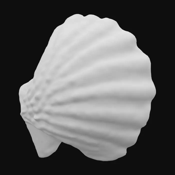 3D model for Radiant Seashell