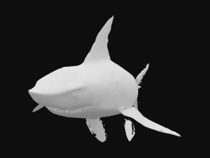 3D model for Sharpedo Artistry