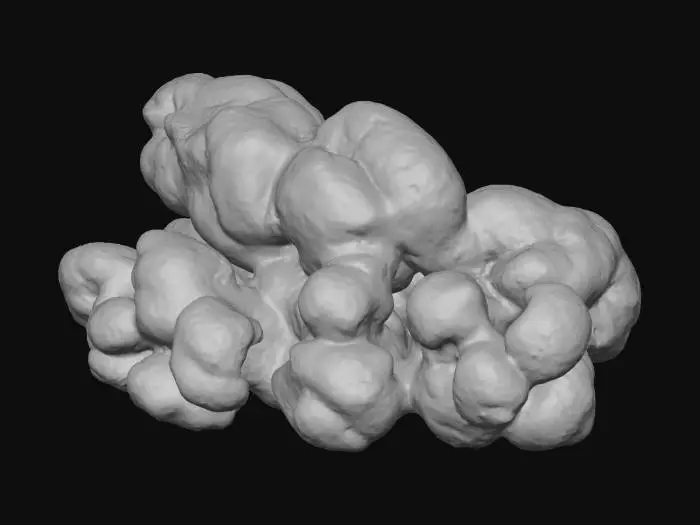 3D model for popcorn corn
