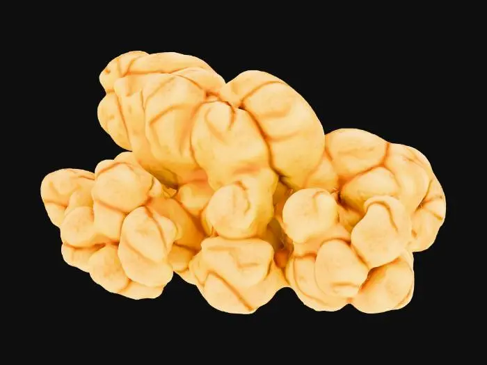 3D model for popcorn corn