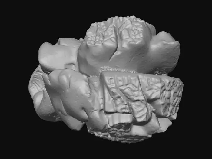3D model for Popcorn Kernel Burst