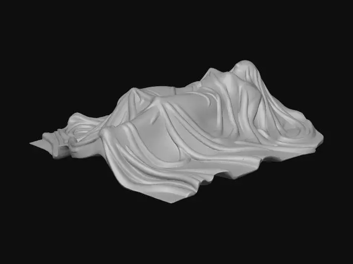 3D model for Shrouded Form