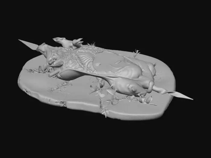 3D model for pig arrost