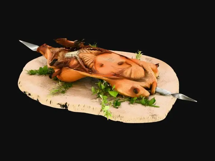 3D model for pig arrost