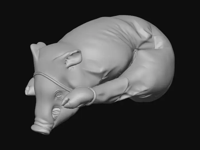 3D model for Pig Prepared for Cooking
