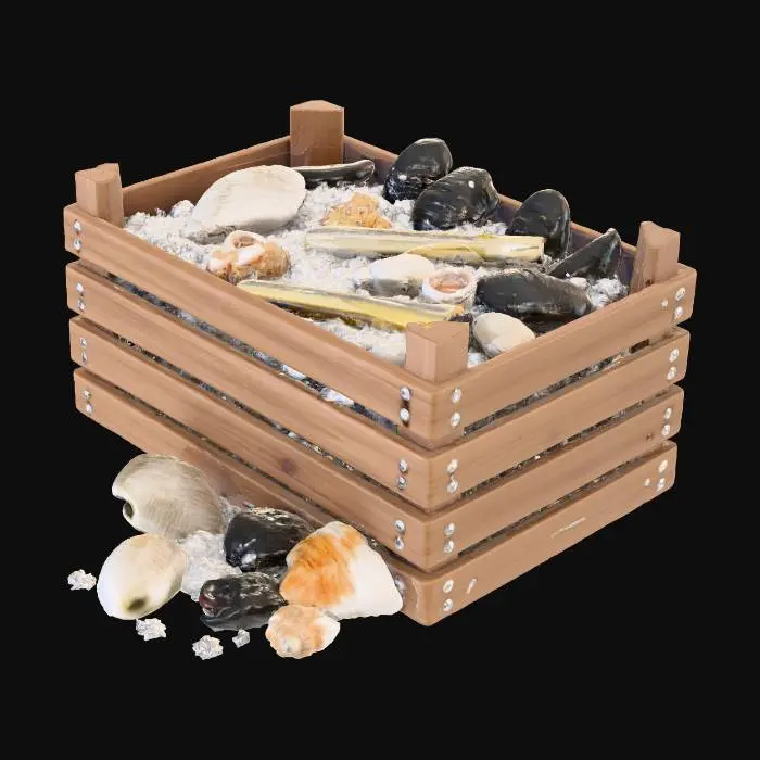 3D model for Seafood Harvest