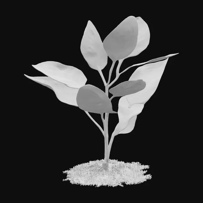 3D model for seedling plant in grass with silvery scales