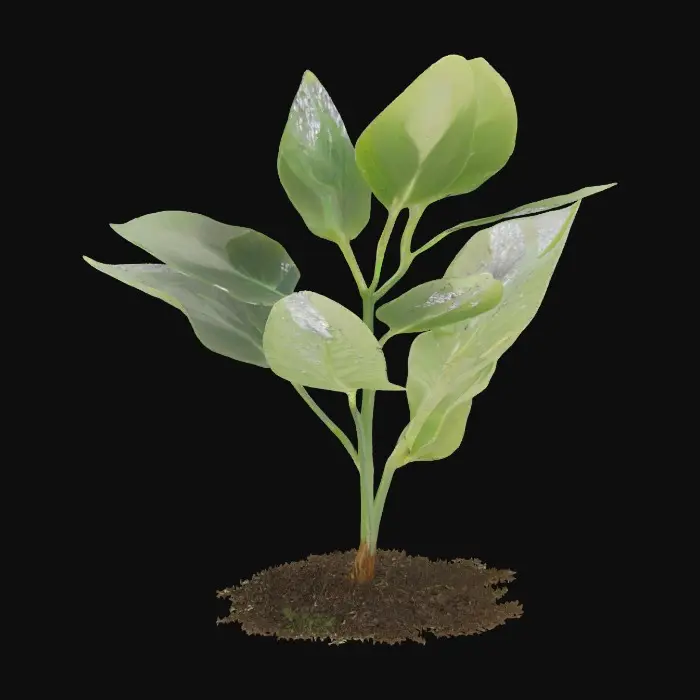 3D model for seedling plant in grass with silvery scales