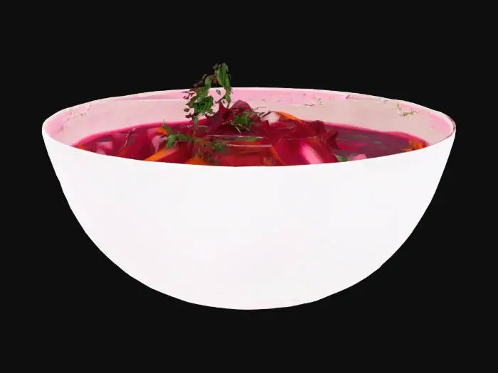 3D model for Bowl of Borscht