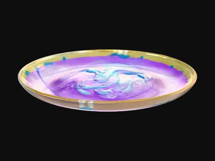 3D model for strange plate