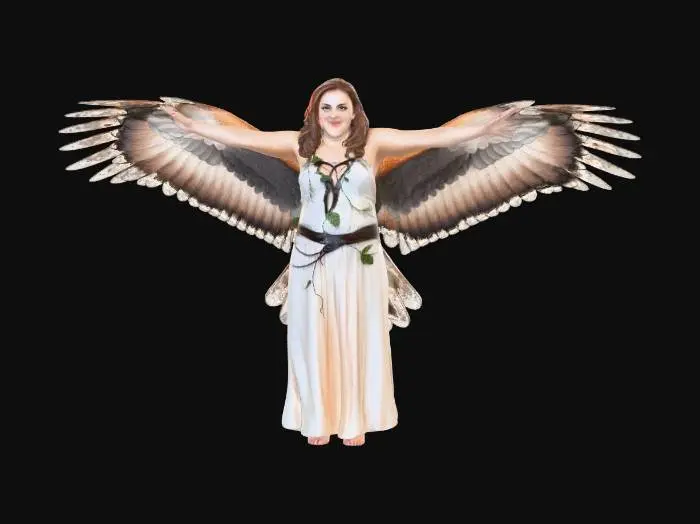 3D model for Wings of Freedom in the Park