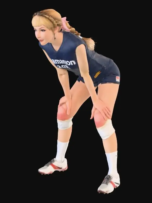 3D model for Volleyball Focus
