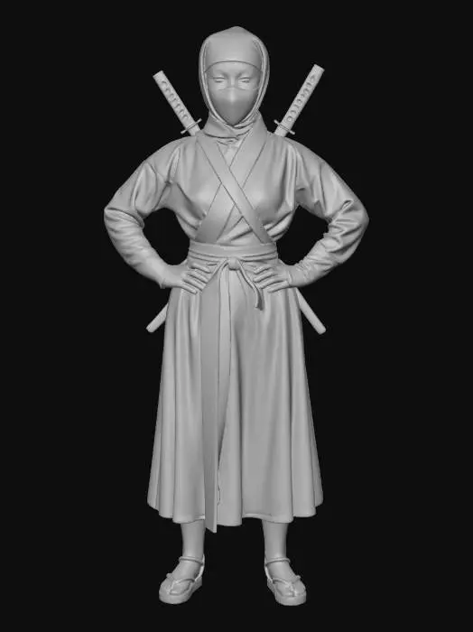 3D model for Ninja in the Pink Living Room