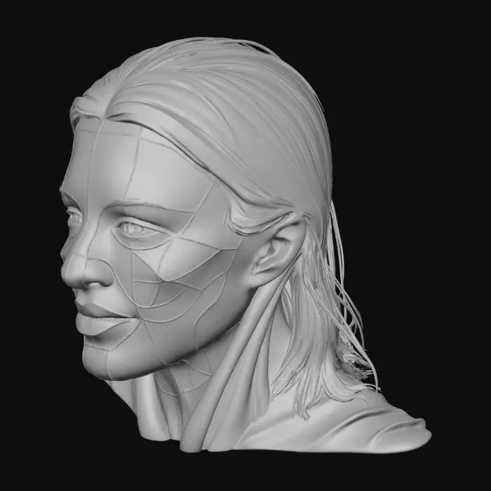3D model for Face Blueprint