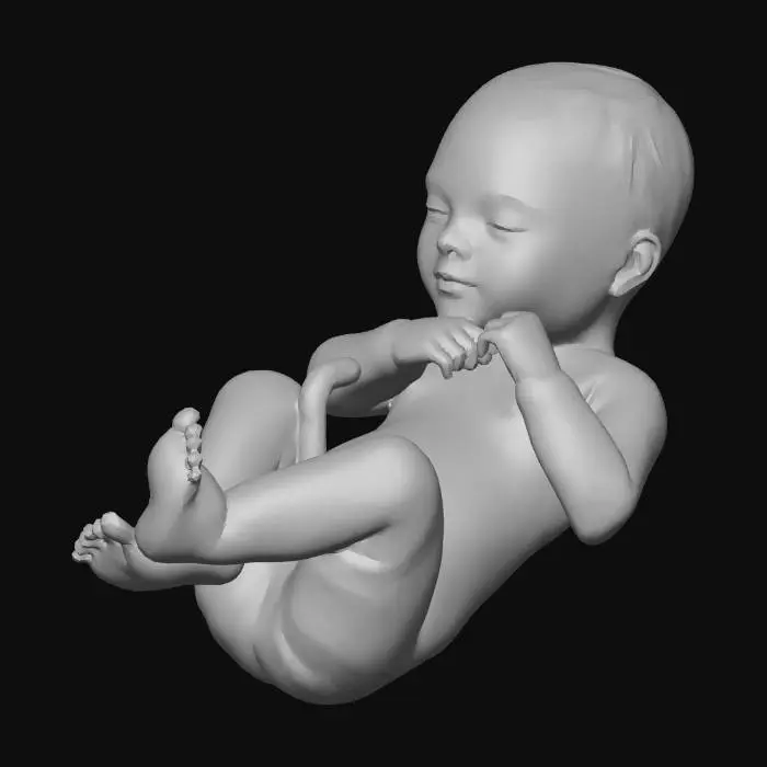 3D model for Week41