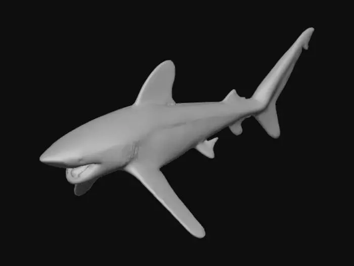 3D model for Shark Odyssey