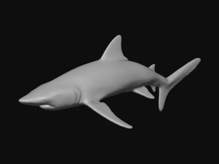 3D model for Lemon Shark