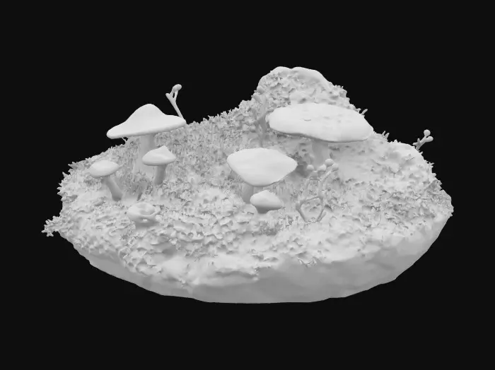 3D model for A small #garden# biorama with glowing mushrooms, blanketed with tender green moss, and small, fresh saplings.