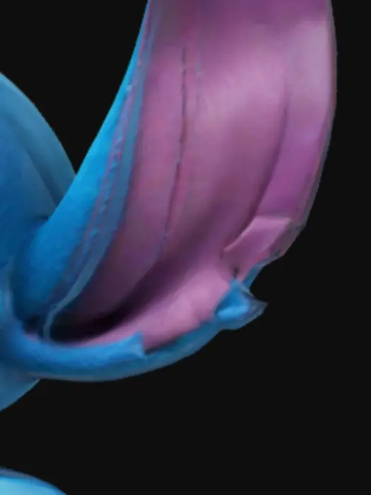 3D model for Stitch Disney character, standing upright, t-pose.