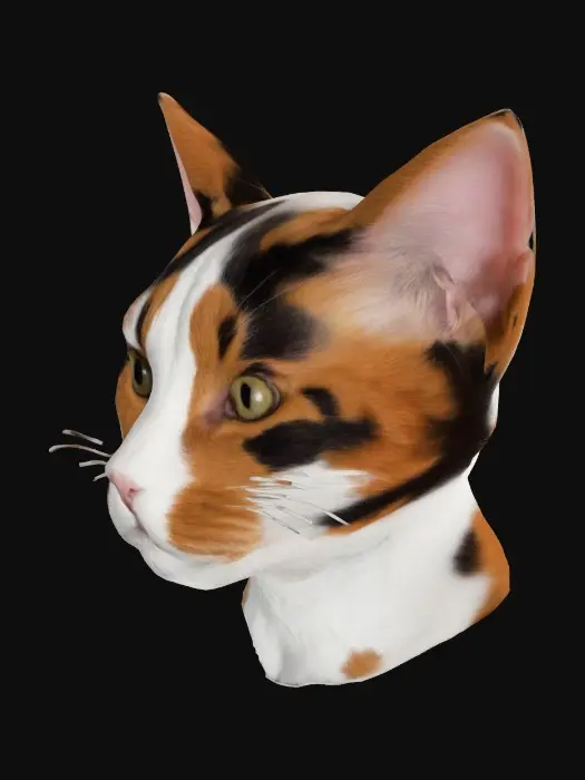 3D model for Geometric Cat Head Model