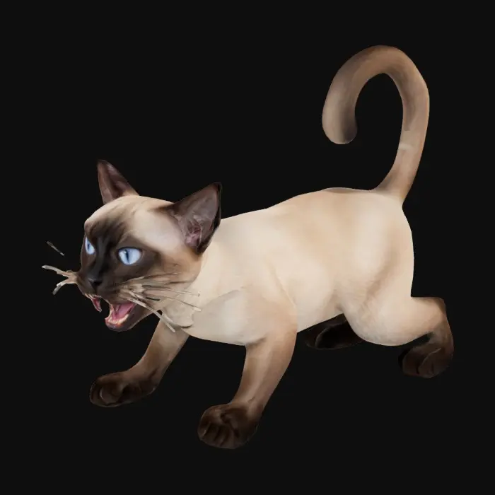 3D model for A siamese cat that has its back arched and is hissing, angry.