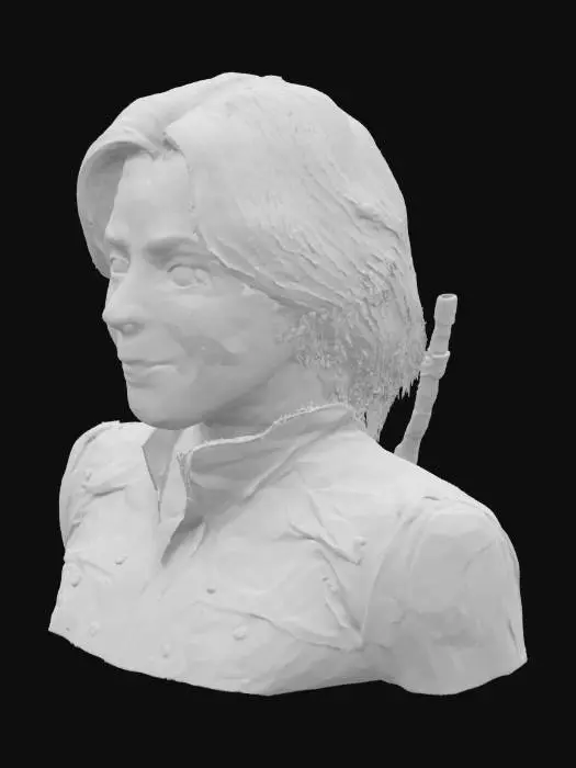 3D model for Heroic Smile