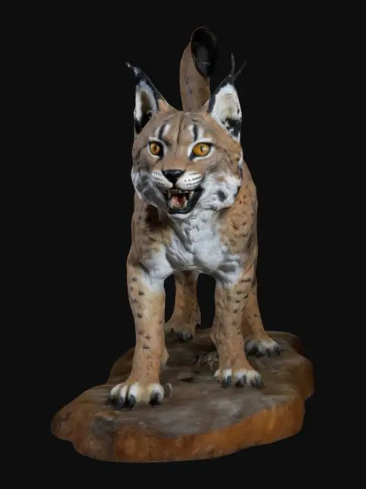 3D model for majestic taxidermy realistic sculpture of a feline bobcat chimera 
