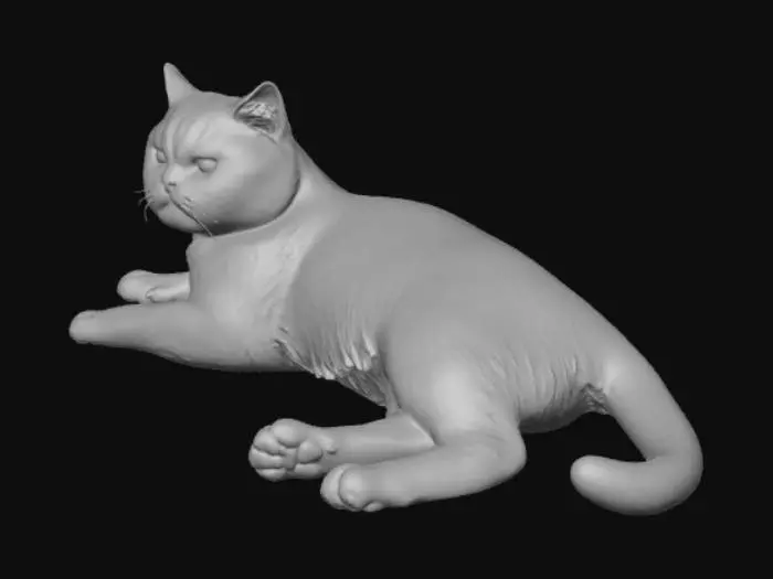 3D model for Grey and White Cat on Hardwood Floor