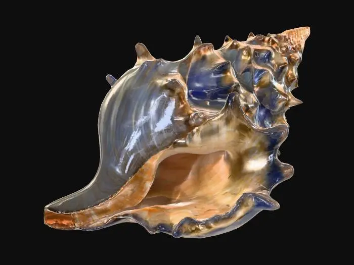 3D model for Spiral Elegance