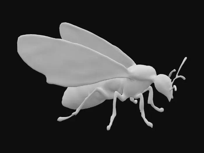 3D model for Stained Glass Cicada