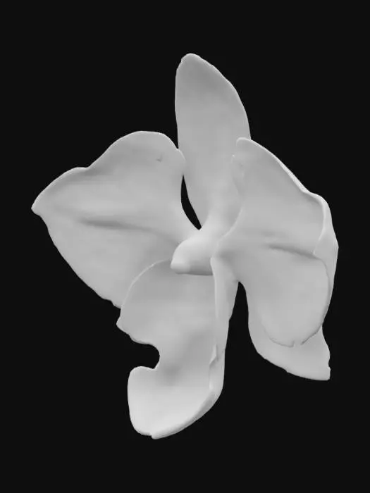 3D model for Ethereal Orchid